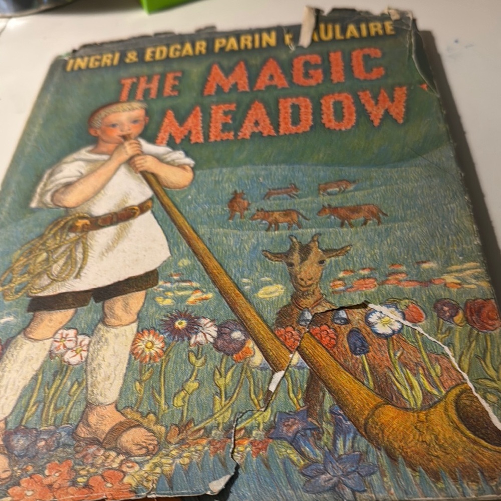 The Magic Meadows Book vintage